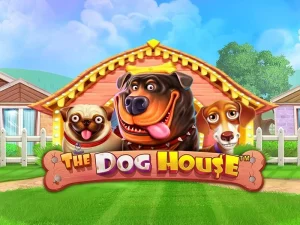 The Dog House Megaways