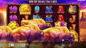 Bono en Buffalo King